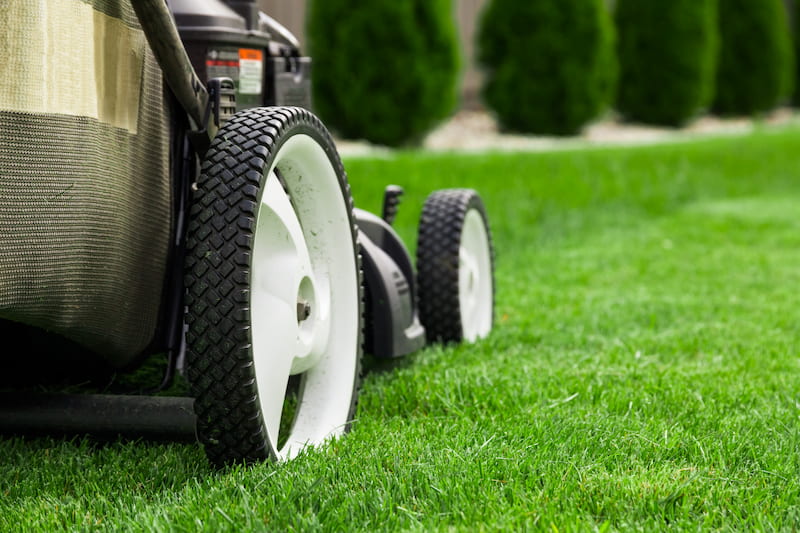 Lawn Care Maintenance