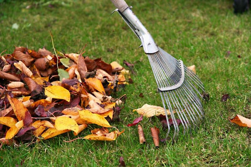 Seasonal Clean Up